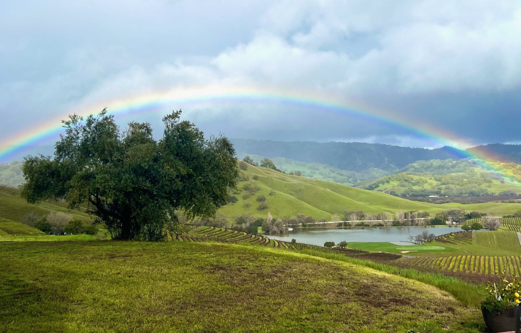 A rainbow over the green hills of Napa